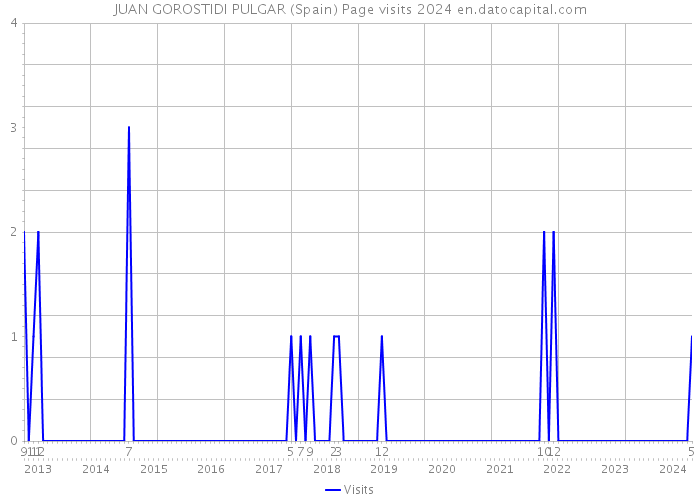 JUAN GOROSTIDI PULGAR (Spain) Page visits 2024 