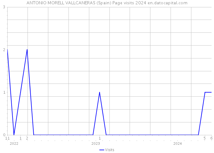 ANTONIO MORELL VALLCANERAS (Spain) Page visits 2024 