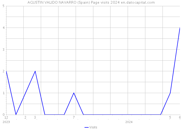 AGUSTIN VALIDO NAVARRO (Spain) Page visits 2024 