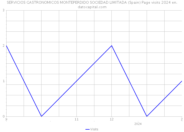 SERVICIOS GASTRONOMICOS MONTEPERDIDO SOCIEDAD LIMITADA (Spain) Page visits 2024 