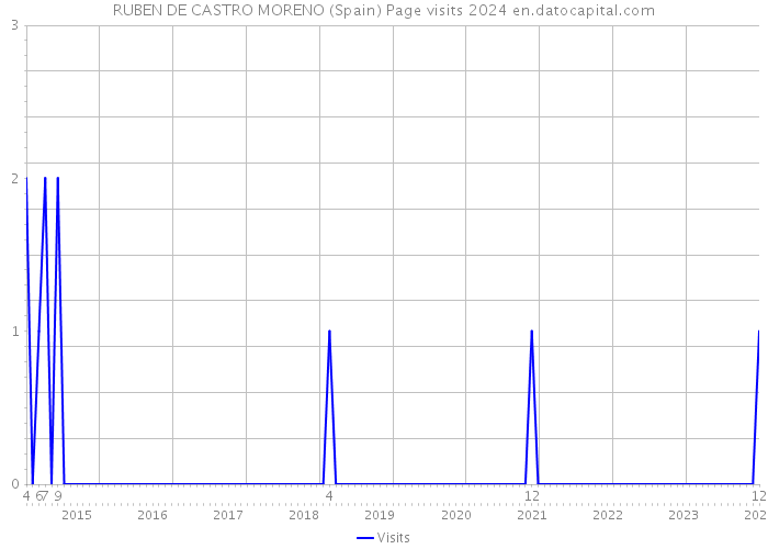 RUBEN DE CASTRO MORENO (Spain) Page visits 2024 