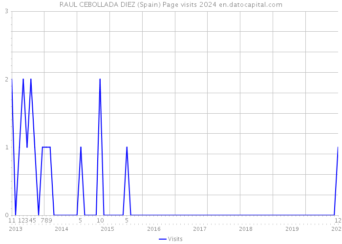 RAUL CEBOLLADA DIEZ (Spain) Page visits 2024 