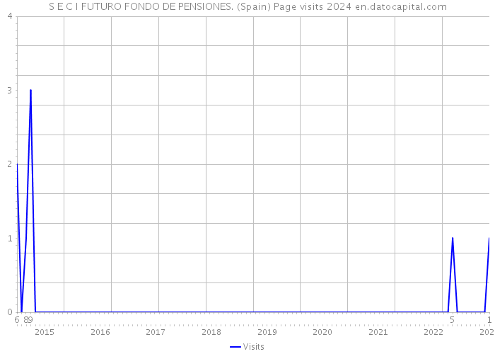 S E C I FUTURO FONDO DE PENSIONES. (Spain) Page visits 2024 