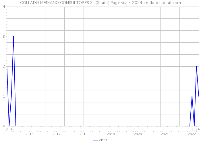 COLLADO MEDIANO CONSULTORES SL (Spain) Page visits 2024 