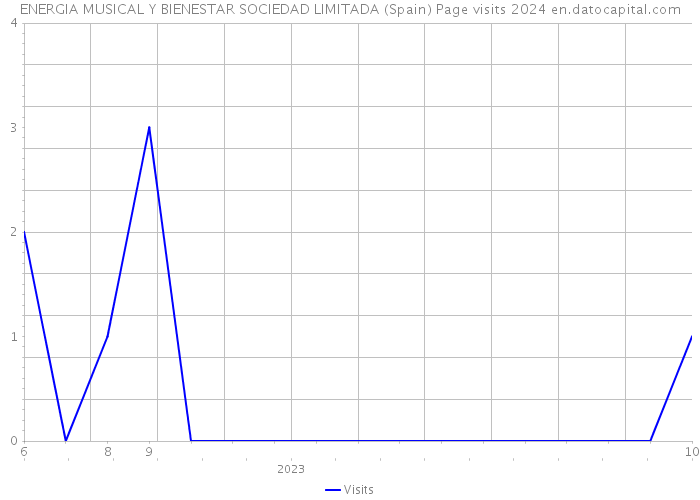 ENERGIA MUSICAL Y BIENESTAR SOCIEDAD LIMITADA (Spain) Page visits 2024 