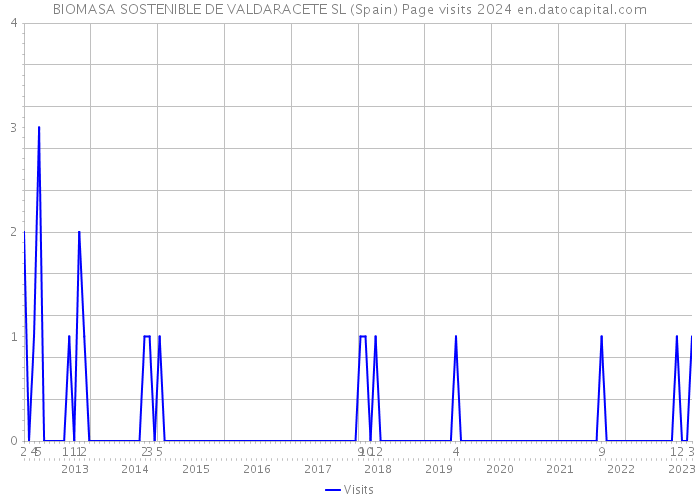 BIOMASA SOSTENIBLE DE VALDARACETE SL (Spain) Page visits 2024 