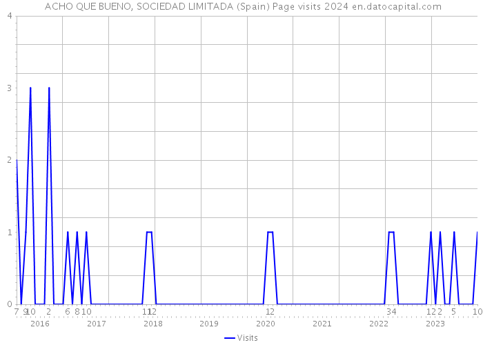  ACHO QUE BUENO, SOCIEDAD LIMITADA (Spain) Page visits 2024 