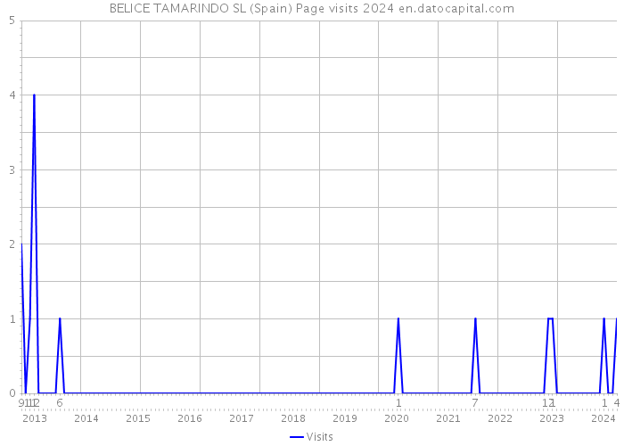 BELICE TAMARINDO SL (Spain) Page visits 2024 