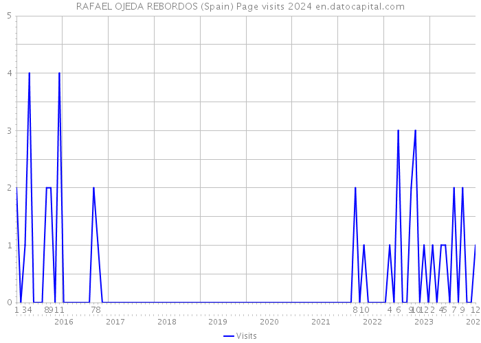RAFAEL OJEDA REBORDOS (Spain) Page visits 2024 