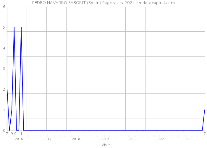 PEDRO NAVARRO SABORIT (Spain) Page visits 2024 