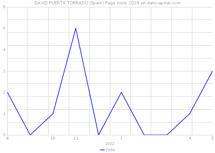 DAVID PUERTA TORRADO (Spain) Page visits 2024 
