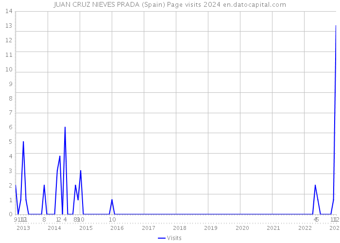 JUAN CRUZ NIEVES PRADA (Spain) Page visits 2024 