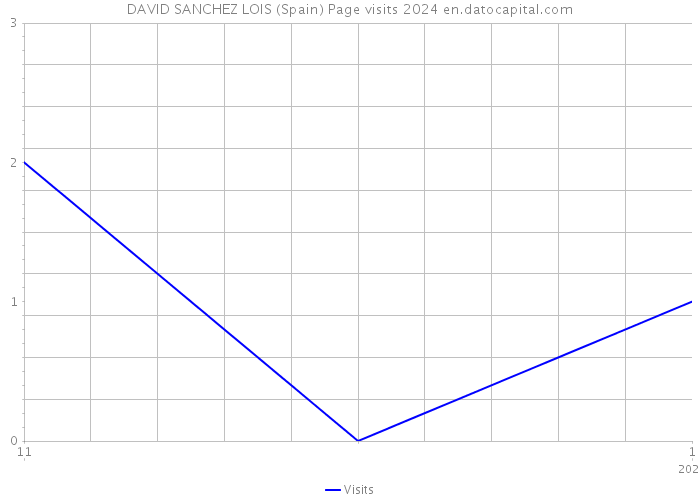 DAVID SANCHEZ LOIS (Spain) Page visits 2024 