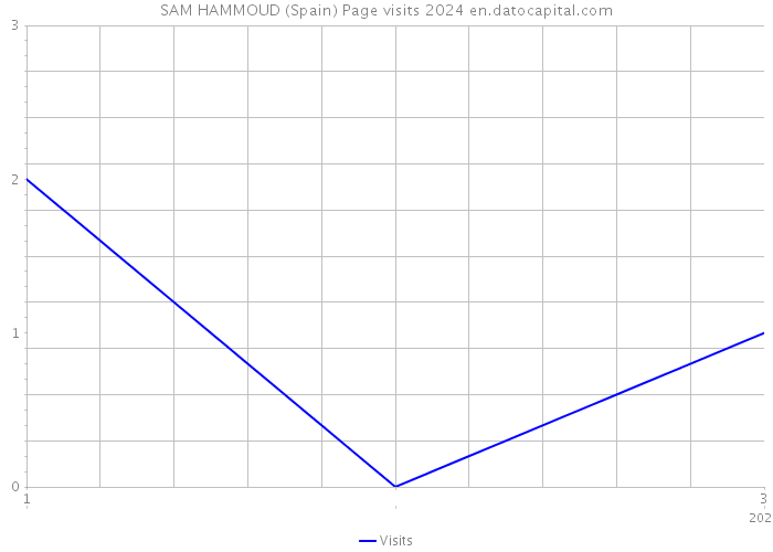 SAM HAMMOUD (Spain) Page visits 2024 