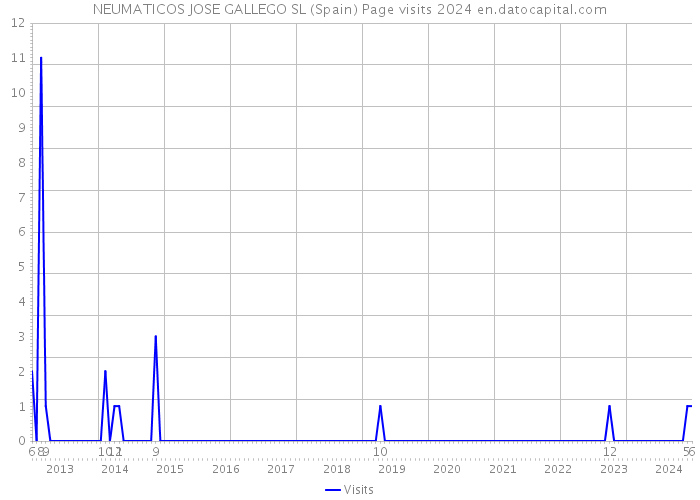 NEUMATICOS JOSE GALLEGO SL (Spain) Page visits 2024 