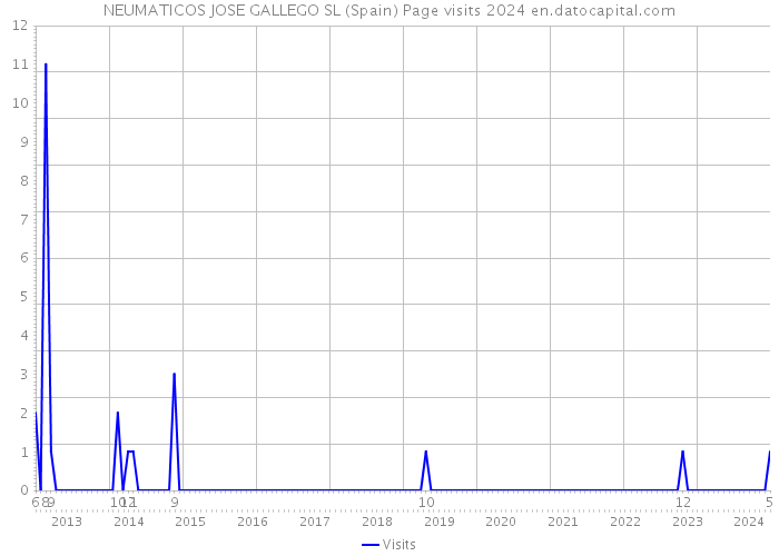 NEUMATICOS JOSE GALLEGO SL (Spain) Page visits 2024 