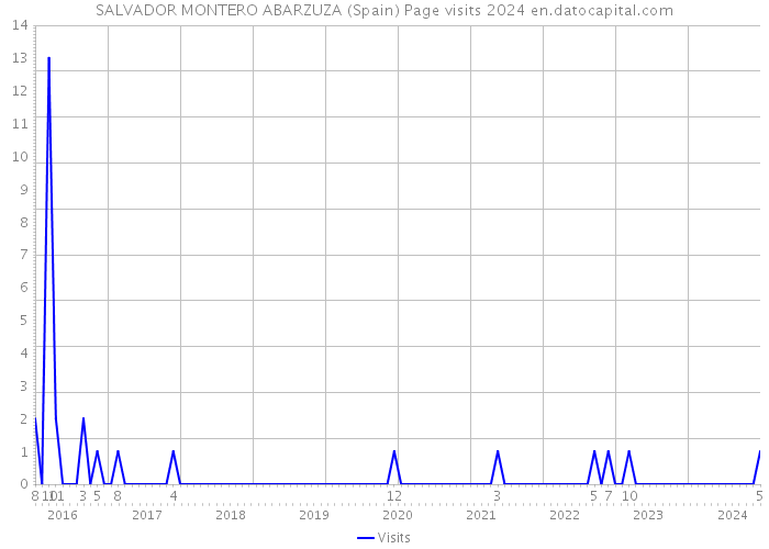 SALVADOR MONTERO ABARZUZA (Spain) Page visits 2024 
