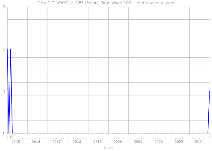 DAVID TINOCO NUÑEZ (Spain) Page visits 2024 