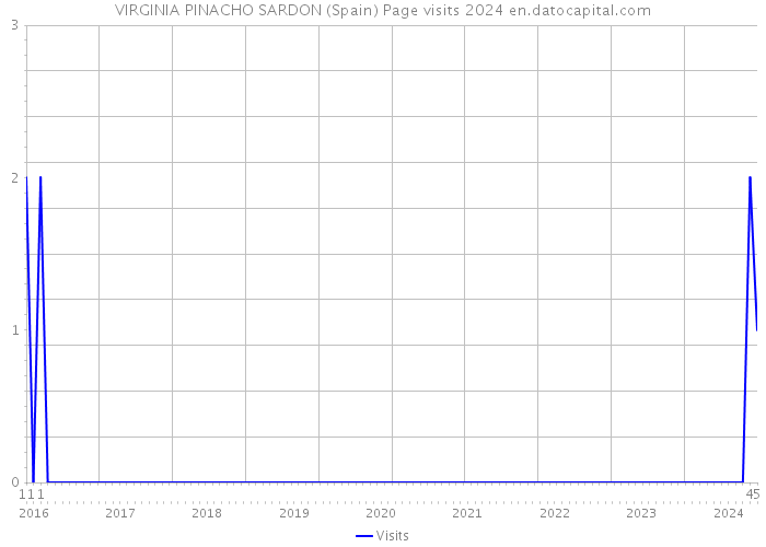VIRGINIA PINACHO SARDON (Spain) Page visits 2024 