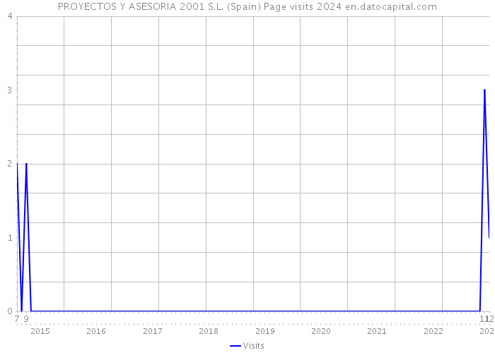 PROYECTOS Y ASESORIA 2001 S.L. (Spain) Page visits 2024 