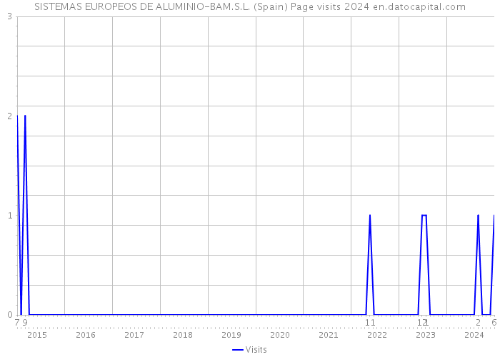 SISTEMAS EUROPEOS DE ALUMINIO-BAM.S.L. (Spain) Page visits 2024 