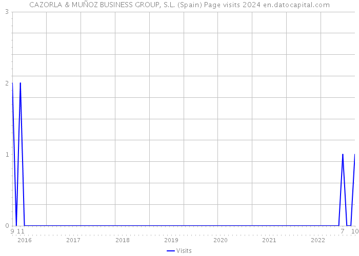 CAZORLA & MUÑOZ BUSINESS GROUP, S.L. (Spain) Page visits 2024 