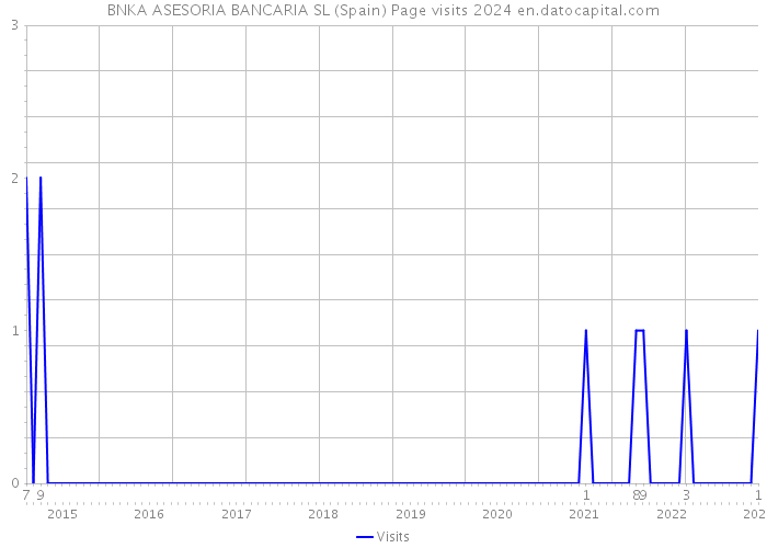 BNKA ASESORIA BANCARIA SL (Spain) Page visits 2024 