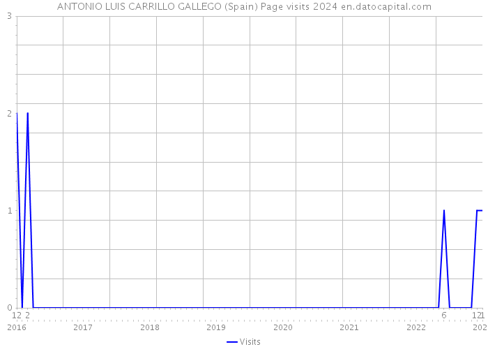 ANTONIO LUIS CARRILLO GALLEGO (Spain) Page visits 2024 