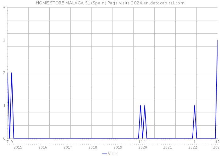 HOME STORE MALAGA SL (Spain) Page visits 2024 