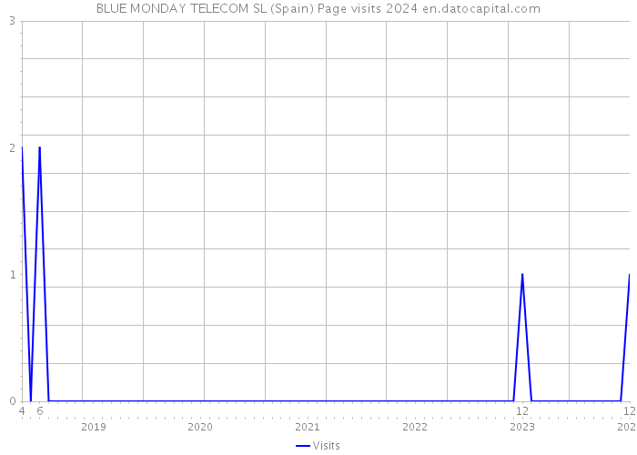 BLUE MONDAY TELECOM SL (Spain) Page visits 2024 