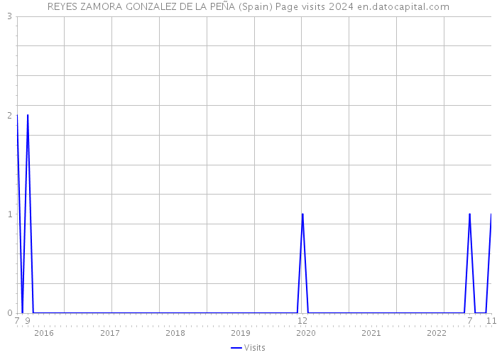 REYES ZAMORA GONZALEZ DE LA PEÑA (Spain) Page visits 2024 