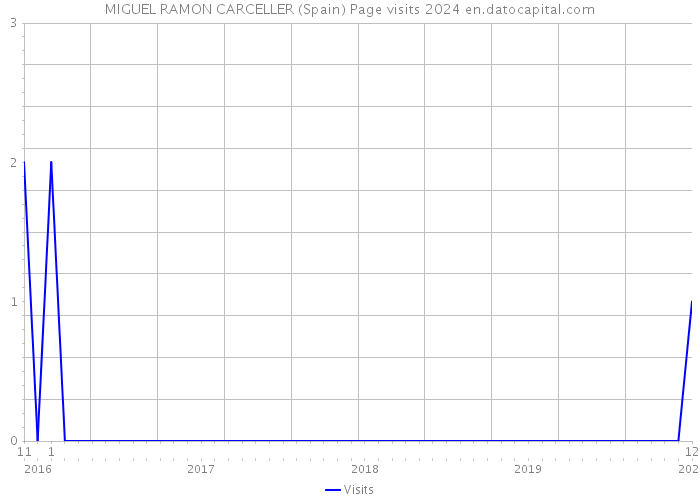 MIGUEL RAMON CARCELLER (Spain) Page visits 2024 
