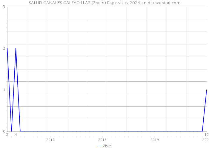 SALUD CANALES CALZADILLAS (Spain) Page visits 2024 