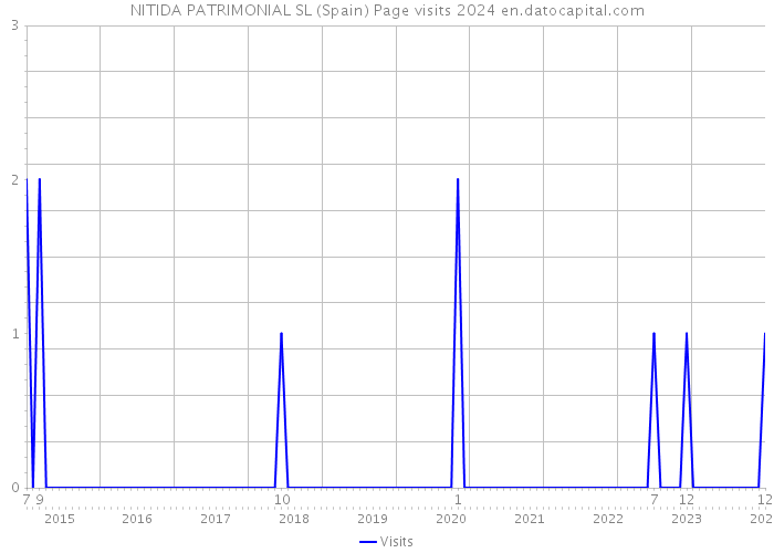 NITIDA PATRIMONIAL SL (Spain) Page visits 2024 