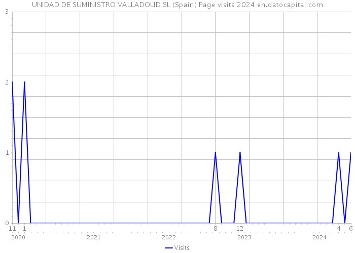 UNIDAD DE SUMINISTRO VALLADOLID SL (Spain) Page visits 2024 