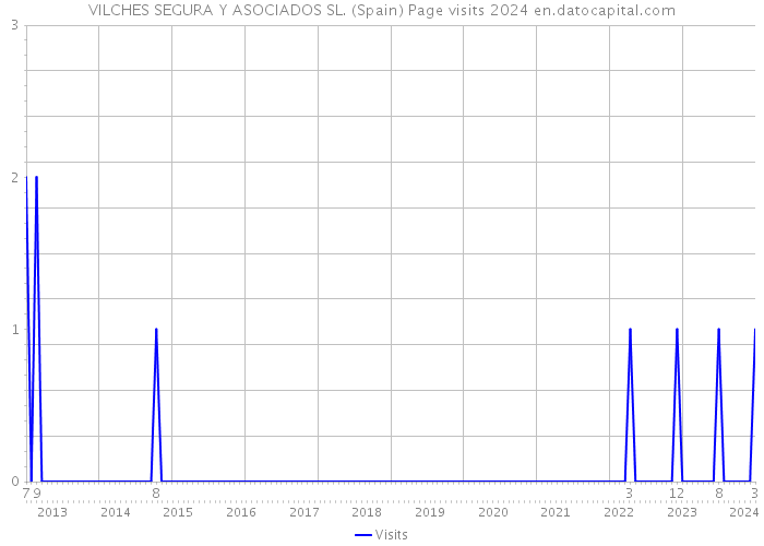 VILCHES SEGURA Y ASOCIADOS SL. (Spain) Page visits 2024 