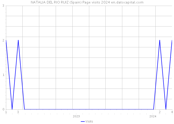 NATALIA DEL RIO RUIZ (Spain) Page visits 2024 