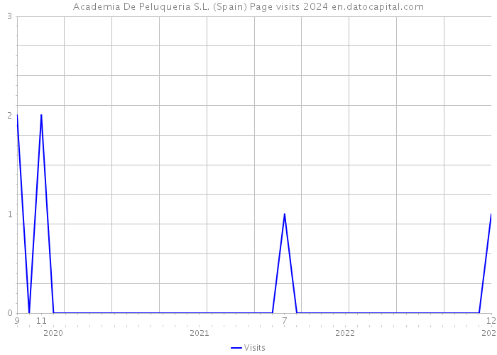 Academia De Peluqueria S.L. (Spain) Page visits 2024 
