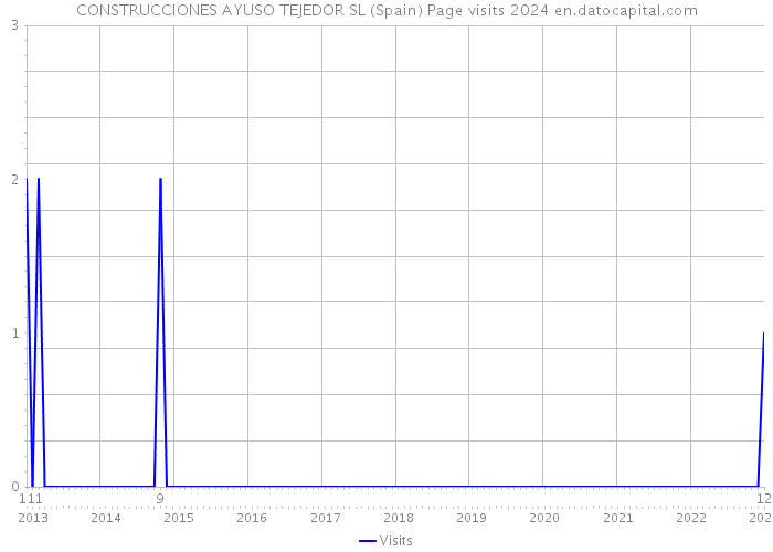 CONSTRUCCIONES AYUSO TEJEDOR SL (Spain) Page visits 2024 