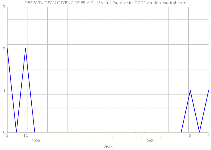 DESPATX TECNIC D'ENGINYERIA SL (Spain) Page visits 2024 