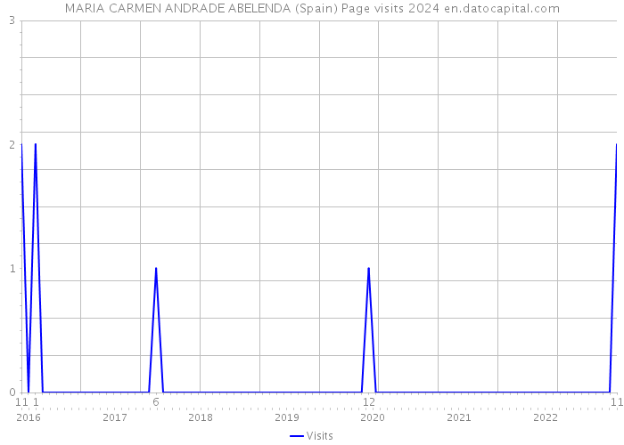 MARIA CARMEN ANDRADE ABELENDA (Spain) Page visits 2024 