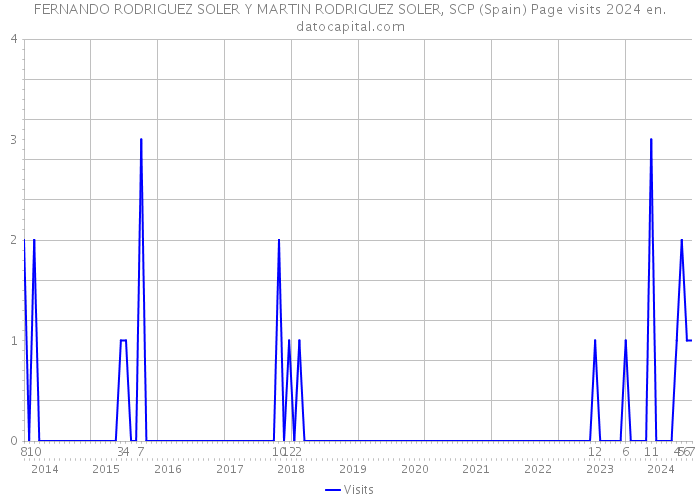 FERNANDO RODRIGUEZ SOLER Y MARTIN RODRIGUEZ SOLER, SCP (Spain) Page visits 2024 