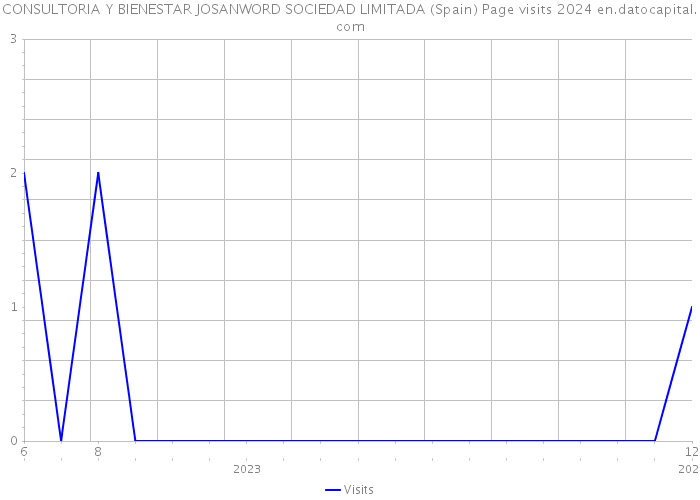 CONSULTORIA Y BIENESTAR JOSANWORD SOCIEDAD LIMITADA (Spain) Page visits 2024 