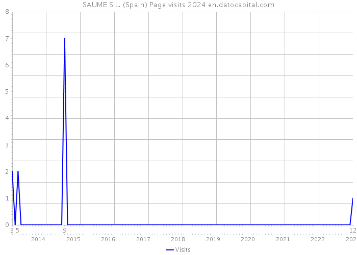 SAUME S.L. (Spain) Page visits 2024 