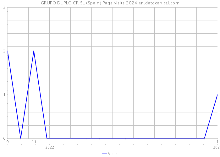 GRUPO DUPLO CR SL (Spain) Page visits 2024 