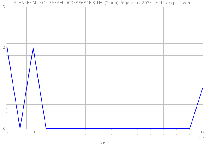 ALVAREZ MUNOZ RAFAEL 000536631F SLNE. (Spain) Page visits 2024 