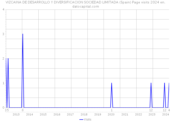 VIZCAINA DE DESARROLLO Y DIVERSIFICACION SOCIEDAD LIMITADA (Spain) Page visits 2024 