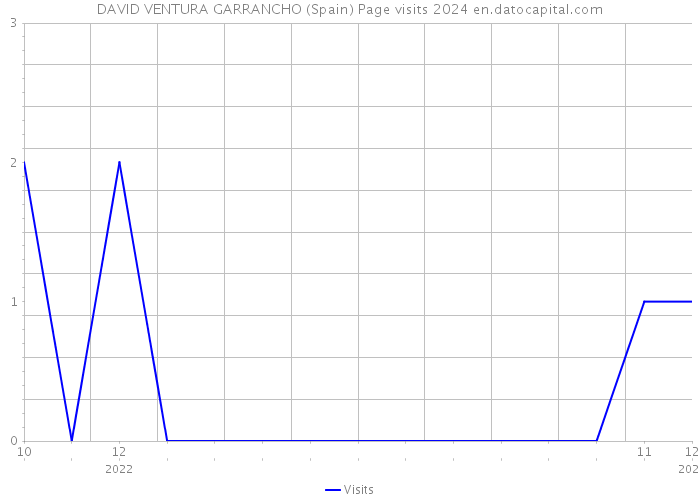 DAVID VENTURA GARRANCHO (Spain) Page visits 2024 