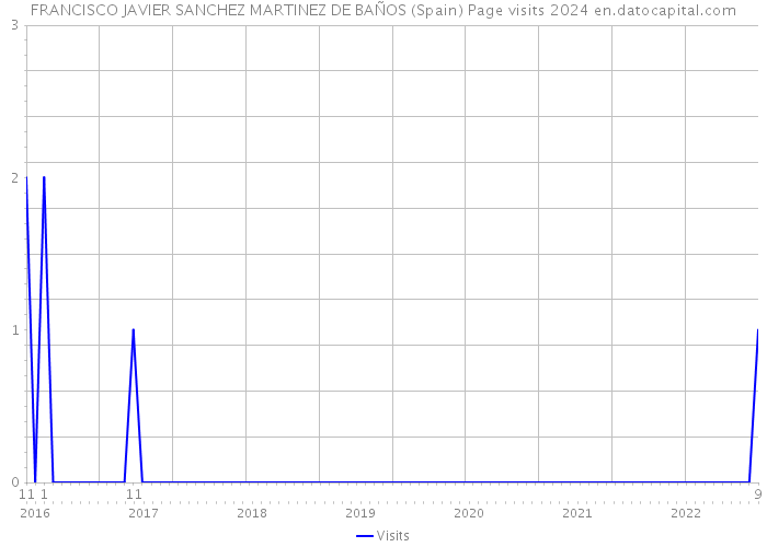 FRANCISCO JAVIER SANCHEZ MARTINEZ DE BAÑOS (Spain) Page visits 2024 