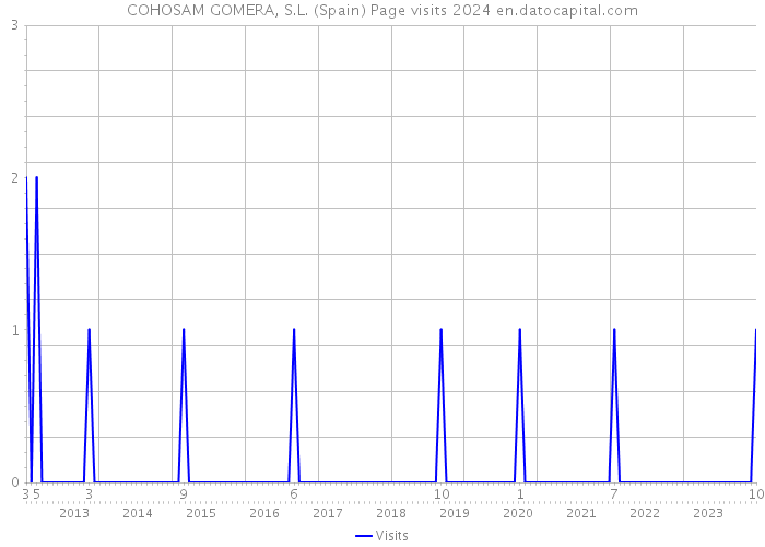 COHOSAM GOMERA, S.L. (Spain) Page visits 2024 